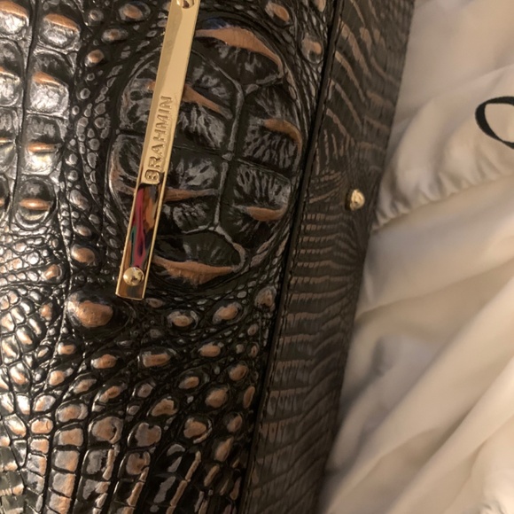 New Brahmin - Picture 7 of 9